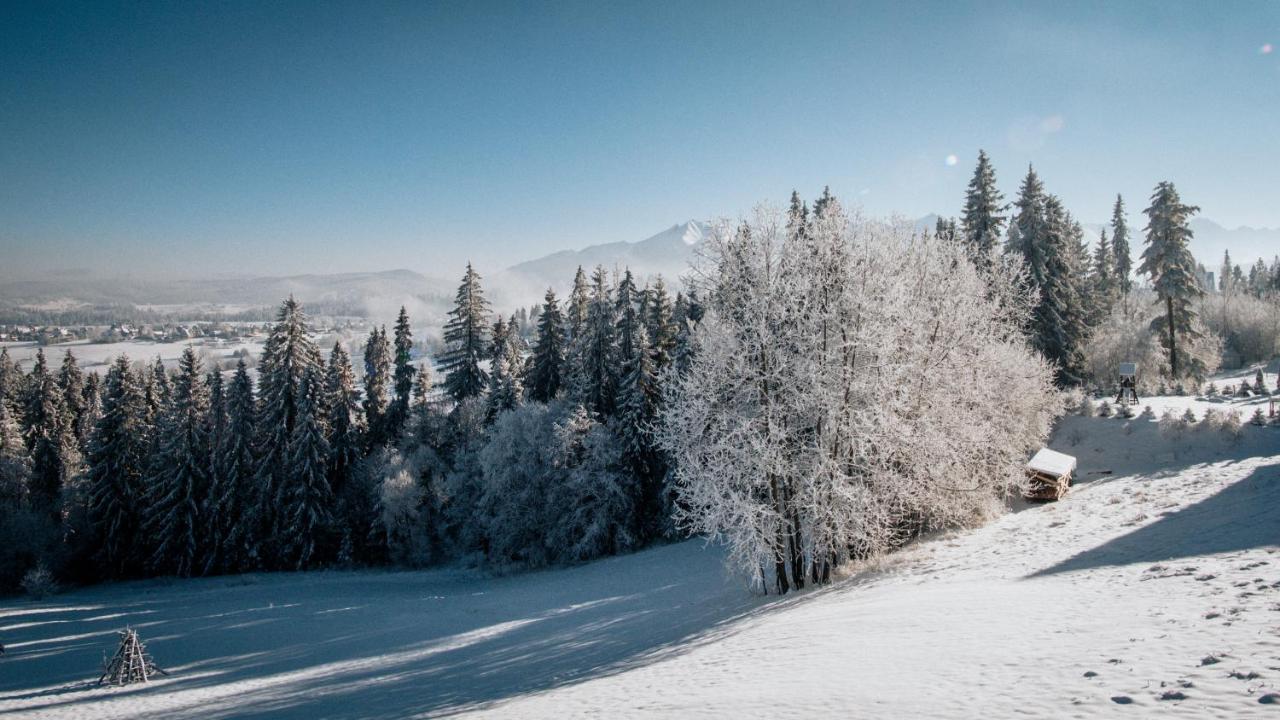 Willa Pachówka Bukowina Tatrzańska Exterior foto